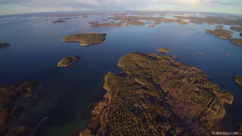 Severe Oxygen Depletion in the Baltic Sea’s Coastal Waters Unprecedented in History