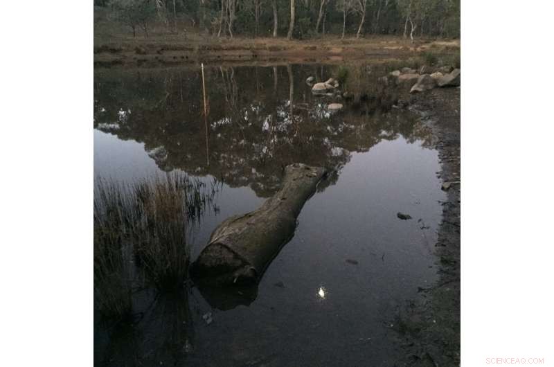 Frogwatching: Tracking Climate Change Impacts in Real Time