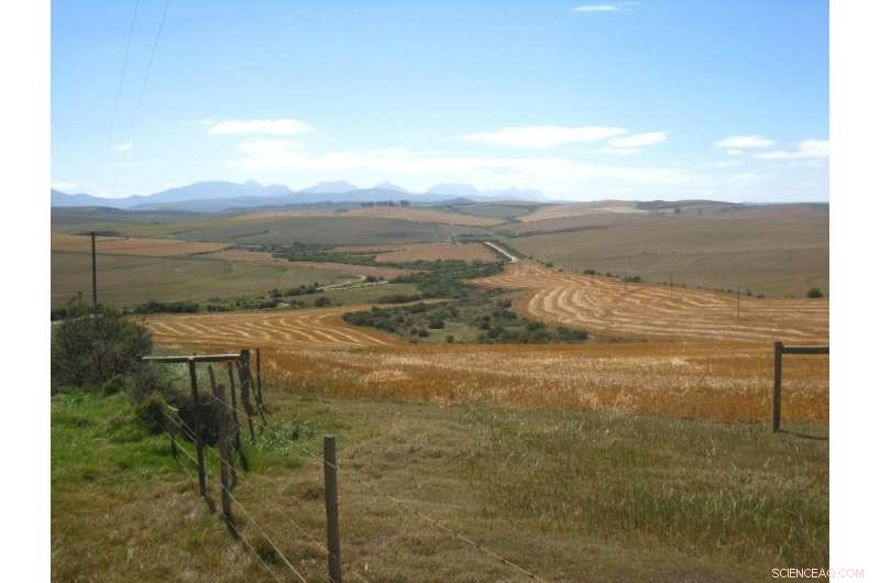 Converting Forests to Farmland Lowers Carbon Sequestration, New Study Finds