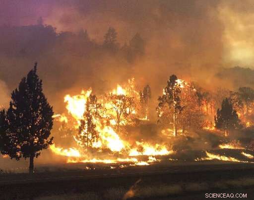California Blaze Claims One Life Amid Widespread Western U.S. Fires