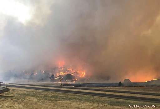 California Blaze Claims One Life Amid Widespread Western U.S. Fires