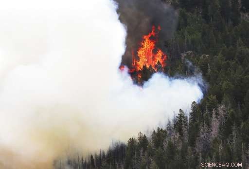 California Blaze Claims One Life Amid Widespread Western U.S. Fires