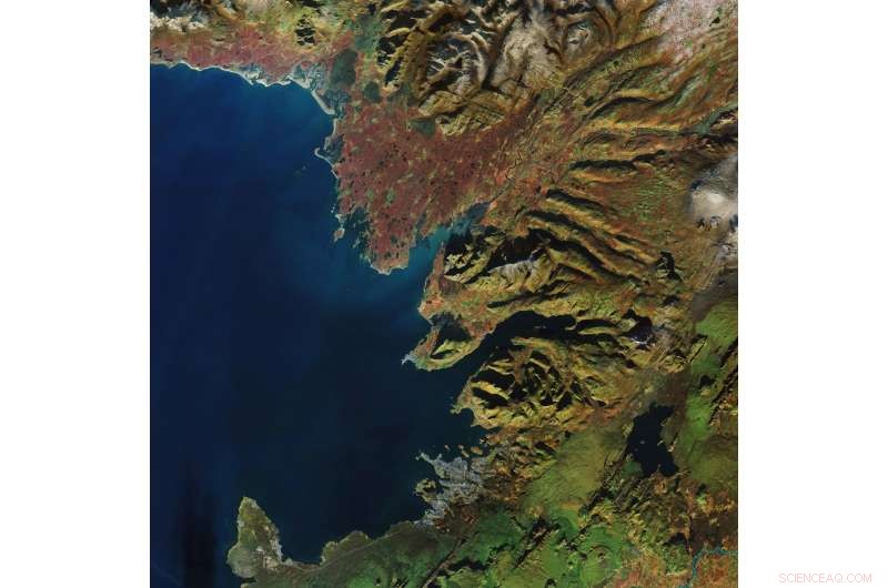 Reykjavik, Iceland: Stunning Satellite View from Copernicus Sentinel-2A