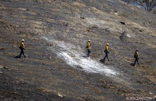 Western U.S. Braces for Wildfires as Tornado Hits Colorado Fire Site