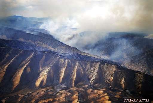 Western U.S. Braces for Wildfires as Tornado Hits Colorado Fire Site