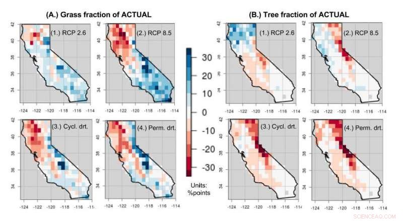 Grasslands Surpass Forests as Reliable Carbon Sinks