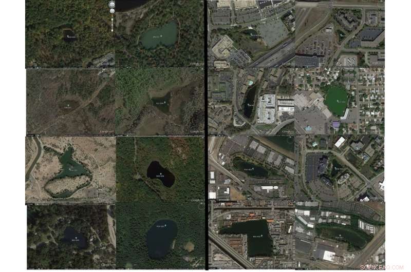 Stormwater Ponds Are Not Major Contributors to Greenhouse Gas Emissions