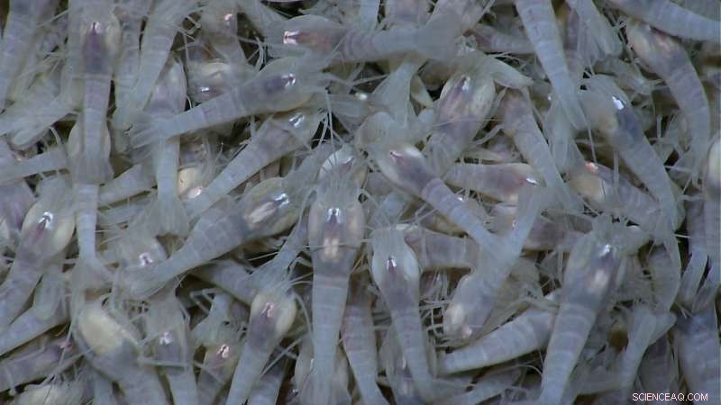 Designing No-Mining Zones for Deep-Sea Conservation