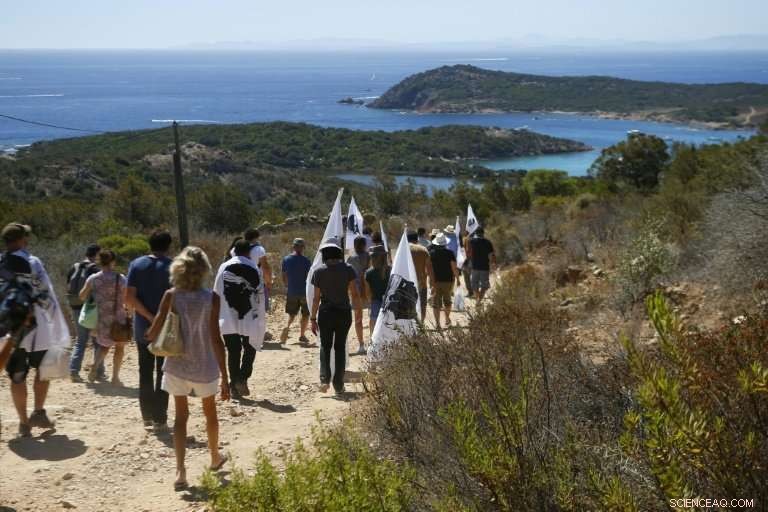 Concrete’s Heavy Toll on the Mediterranean Coast: A Closer Look