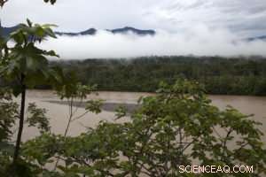 Amazon Faces Ongoing Warming and Multi‑Year Droughts, Study Reveals