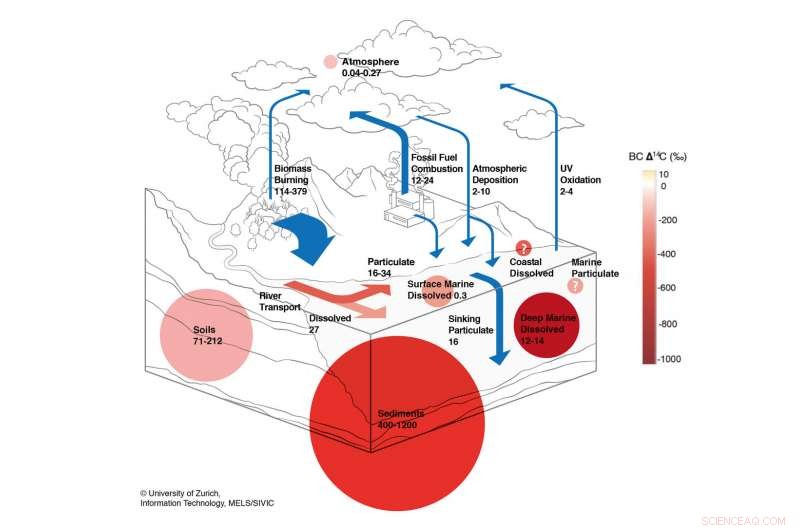 Charcoal: The Overlooked Link in the Global Carbon Cycle