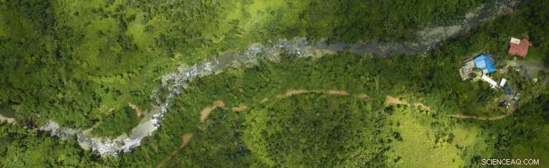 NASA Assesses Hurricane Maria s Impact on Puerto Rico s Forests