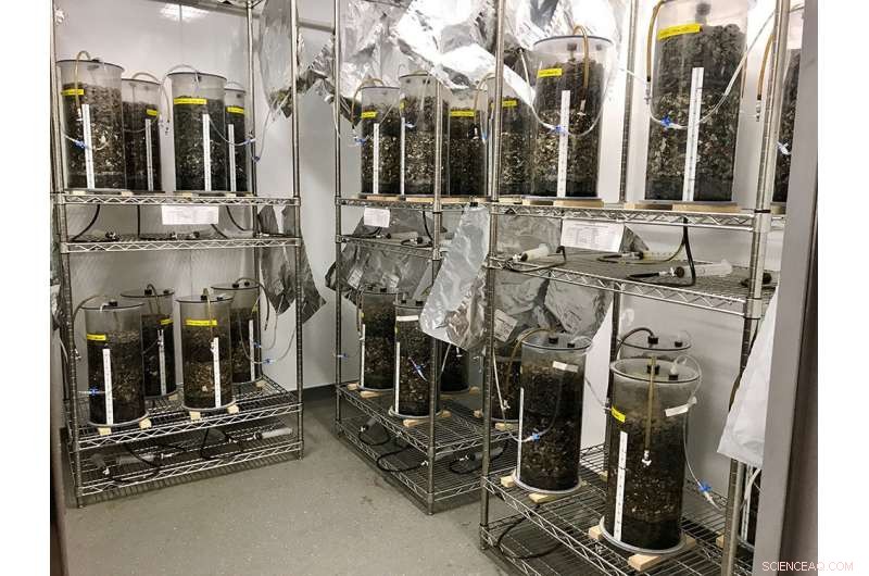 Colorado State University Study Offers Proven Guidelines for Efficient Waste Management