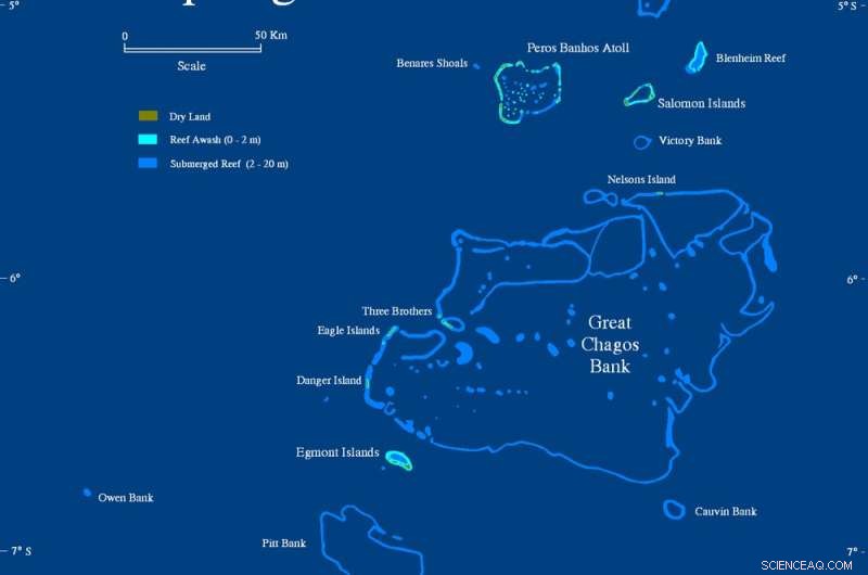 Black Rat Invasions Threaten Coral Reef Ecosystems on Nearby Islands