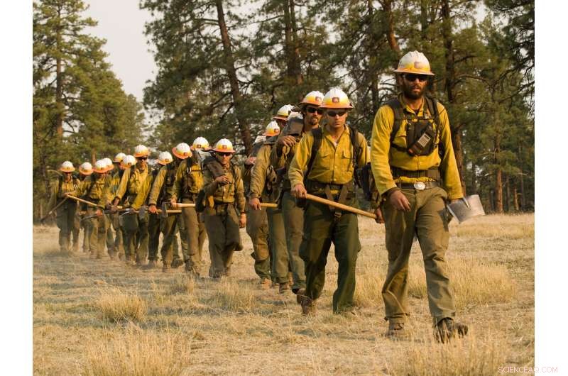 Wildfire Response: Tailored Strategies for Diverse Fires in the US