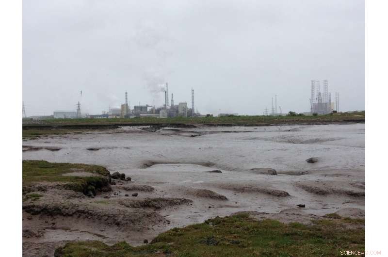 Sea‑Level Rise Threatens UK Salt Marshes, Geological Study Warns