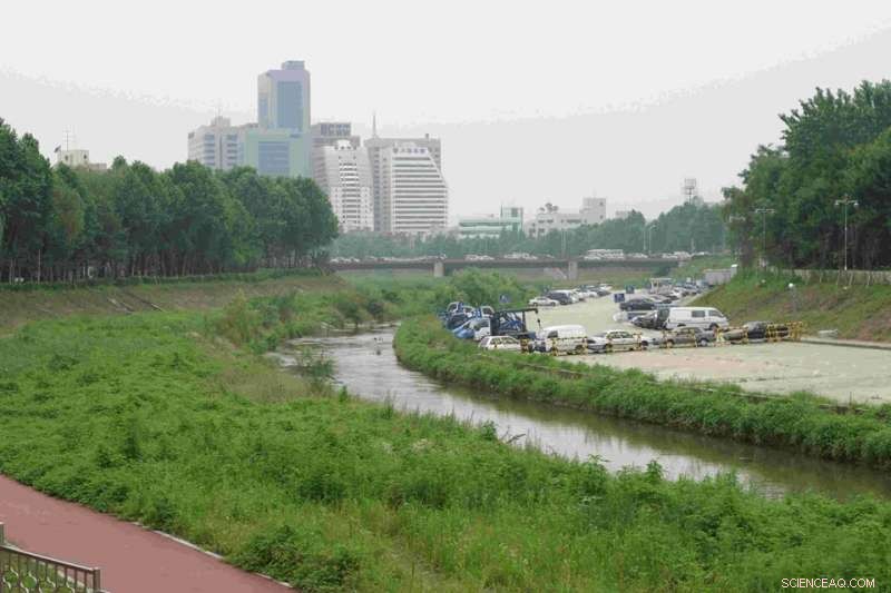 South Korean River Basin Still Faces Pollution Challenges: New Study Reveals Need for Action