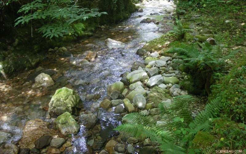 Assessing Bioaccumulation of Nine Metals in Aquatic Invertebrates Near Mining Sites