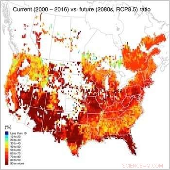 New Study Quantifies Carbon Sequestration Capacity of North American Forests