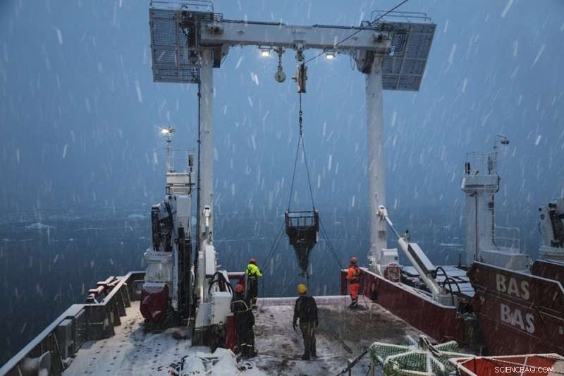 Microplastic Pollution in Antarctica: Fjords Match Levels Found Near Major Urban Centers