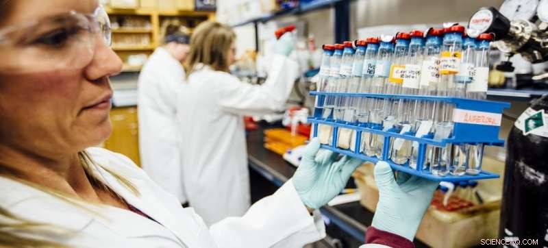 Yellowstone Geyser Waste: A Hidden Treasure for Researchers