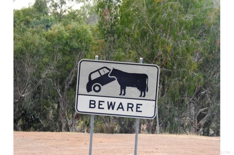 Cut Your Nitrogen Footprint: Proven Steps for a Cleaner, Healthier Planet