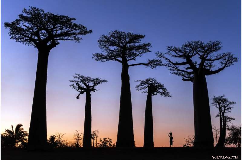 New Study Reveals Indigenous Peoples Control 25% of Global Land