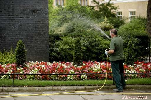 UK Faces Widespread Water Restrictions as Extreme Heat Strikes Millions