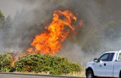 Central Point Fire Signals Explosive Wildfire Season in the Northwest