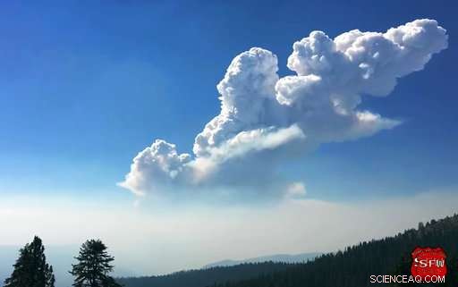 Central Point Fire Signals Explosive Wildfire Season in the Northwest