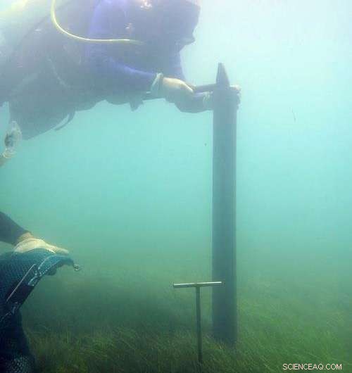 Managing Coastal Resilience Amid Rising Sea Levels