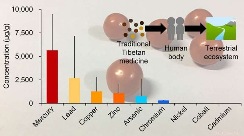 High Mercury Exposure from Traditional Tibetan Medicine: Health and Environmental Risks