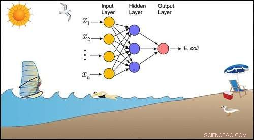 Instant Beach Water Quality Forecasting