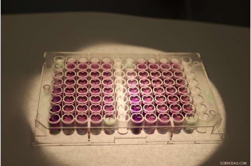 Rapid Soil Nitrogen Test Determines Precise Fertilizer Requirements