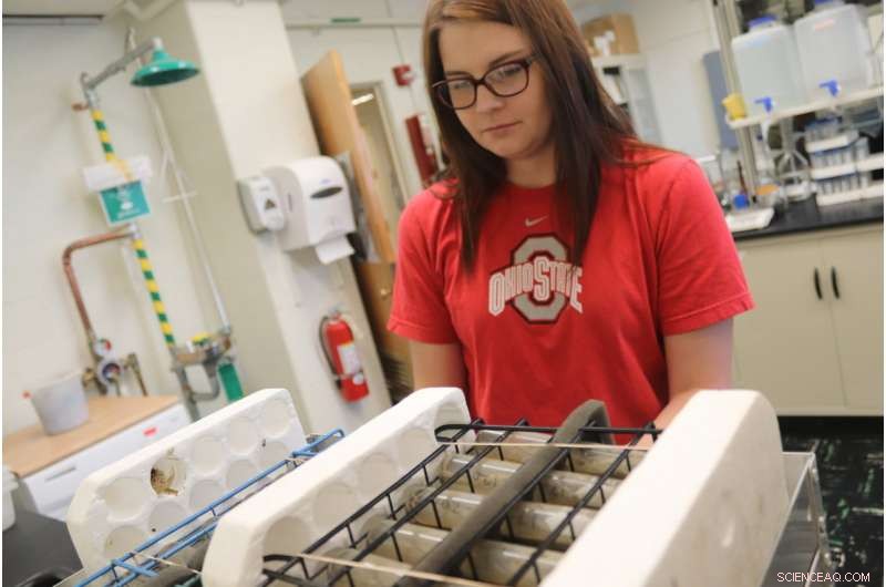 Rapid Soil Nitrogen Test Determines Precise Fertilizer Requirements