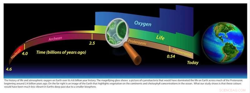 1.4‑Billion‑Year‑Old Lake Deposit Sheds Light on Earth’s Early Biosphere