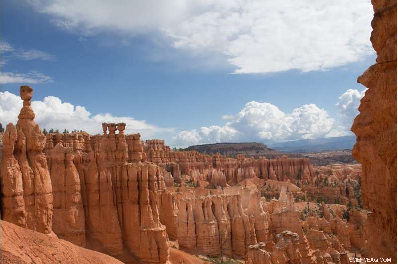 How Air Pollution Reduces Visits to U.S. National Parks