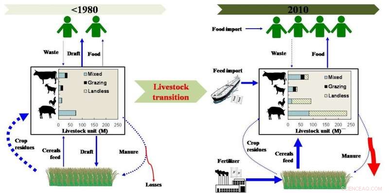 China’s Livestock Revolution Calls for a New Transition