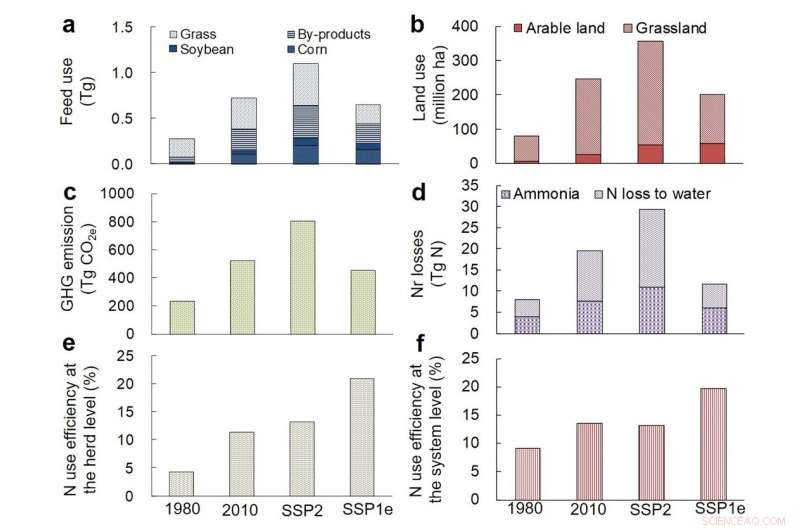 China’s Livestock Revolution Calls for a New Transition
