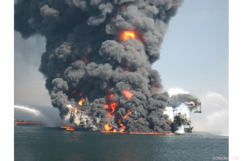 Deep-Sea Sediments Significantly Slow Oil Biodegradation in Gulf of Mexico