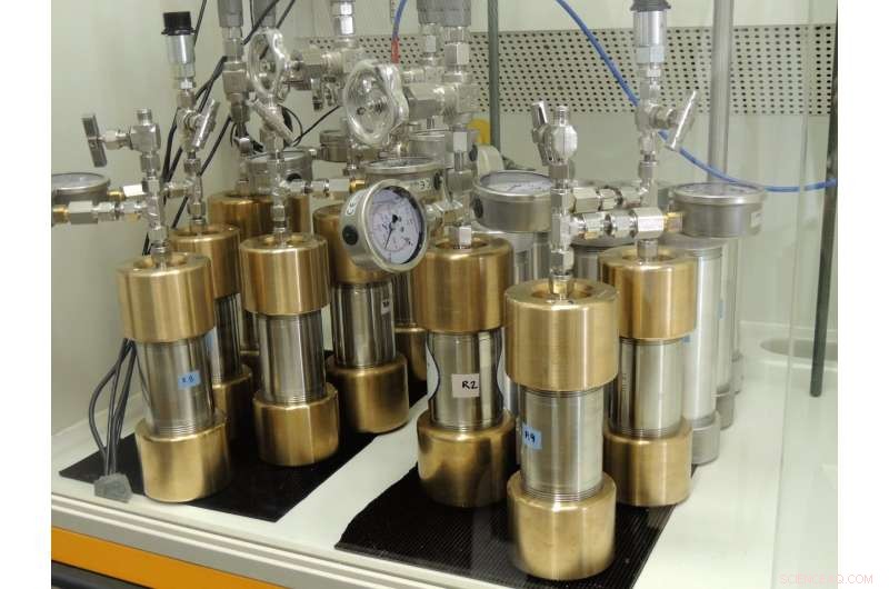 Deep-Sea Sediments Significantly Slow Oil Biodegradation in Gulf of Mexico