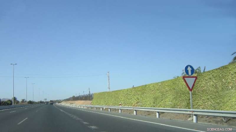 Innovative Green Noise Barriers Cut Sound and Costs