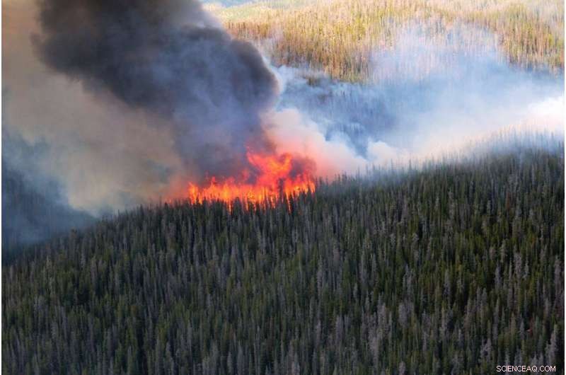 NASA’s Research Aircraft Decodes Wildfire Smoke Chemistry