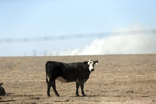 Oregon Wheat Farmers Fight Wildfire Threatening Crops
