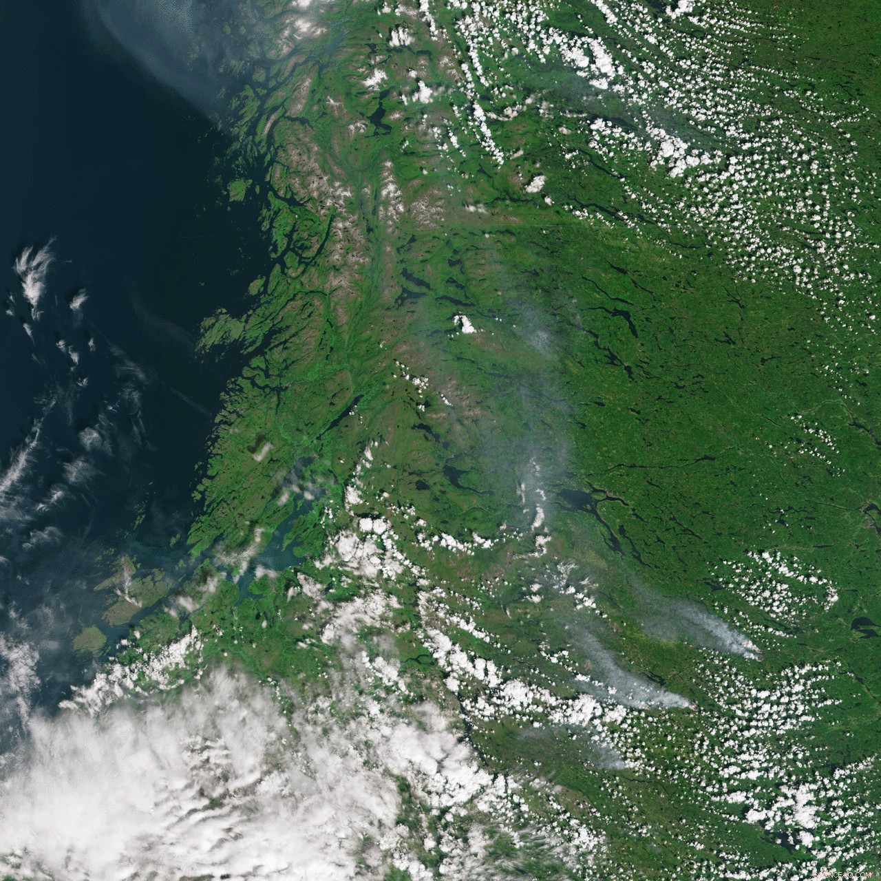 Sweden s Wildfires: A Visual Overview
