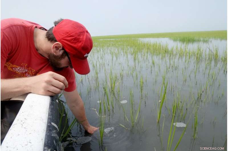 Evaluating Climate Change Effects on Virginia’s Barrier Islands and Coastal Communities