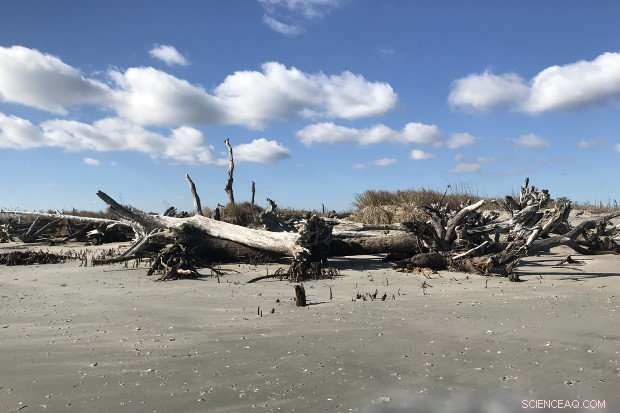Evaluating Climate Change Effects on Virginia’s Barrier Islands and Coastal Communities