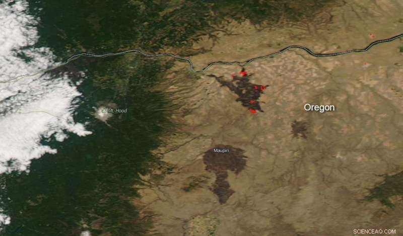 NASA s Aqua Satellite Reveals Burn Scars from Oregon Substation Fire