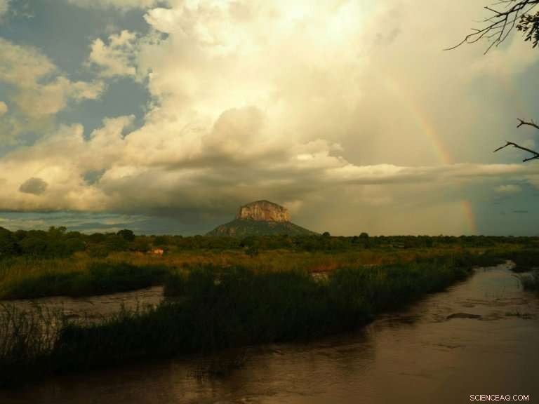 Mozambique Combines Efforts to Combat Climate Change and Forest Loss