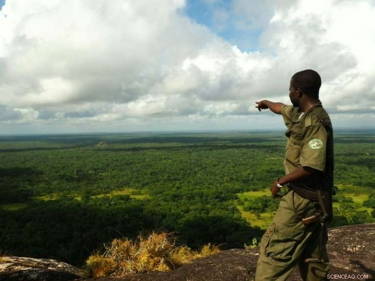 Mozambique Combines Efforts to Combat Climate Change and Forest Loss